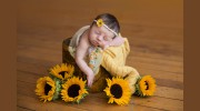 Mischief & Laughs Photography