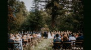 The Wedding Connection