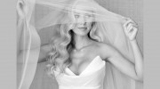 Araujo Photography