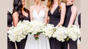 Wild Lillies Events
