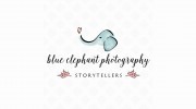 Blue Elephant Photography