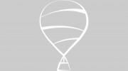 Up & Up Weddings
