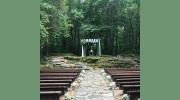 The Wedding Woods