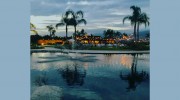 The Grove Of Redlands