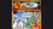 The Wedding K.I.S.S