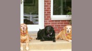3 Fat Labs Wedding & Event Barn