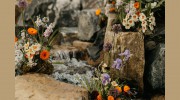 Lale Florals