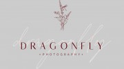 Dragonfly Photography