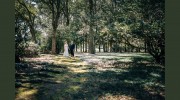 Farlow Photography