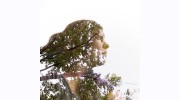 Roneyfield Photography