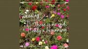 Willow Creek Ranch Wedding Venue