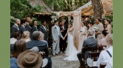 Willow Falls Events