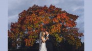 Viridian Images Photography
