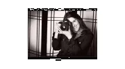Heidi Borgia Photography