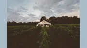 The Vineyard At 12 Corners Venue