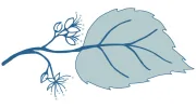 Blue Linden Weddings & Events
