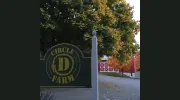 Circle D Farm