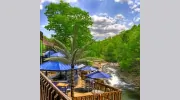 The Woodlands