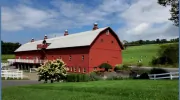 Friedman Farms