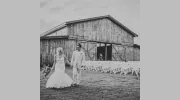 The Barn At Sandcastle Farm