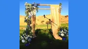 Peekaboo Blooms