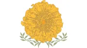 Marigold Flower Co.