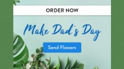 Passion Flowers